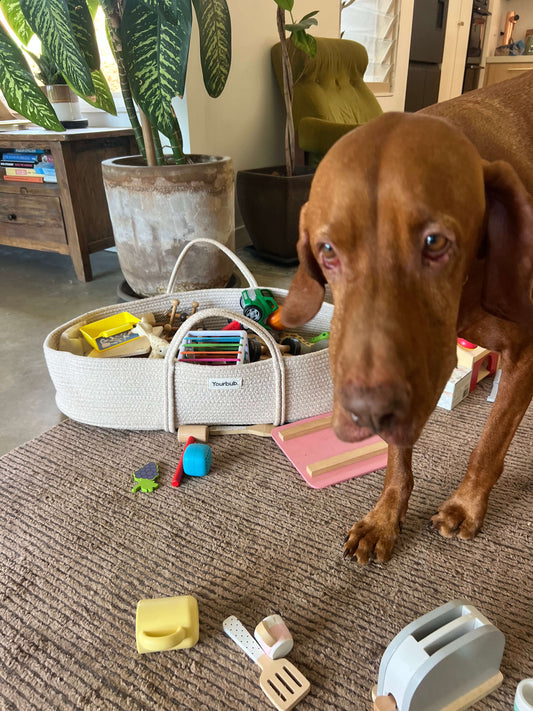 Outsmarting the Dog and Reclaiming the Living Room